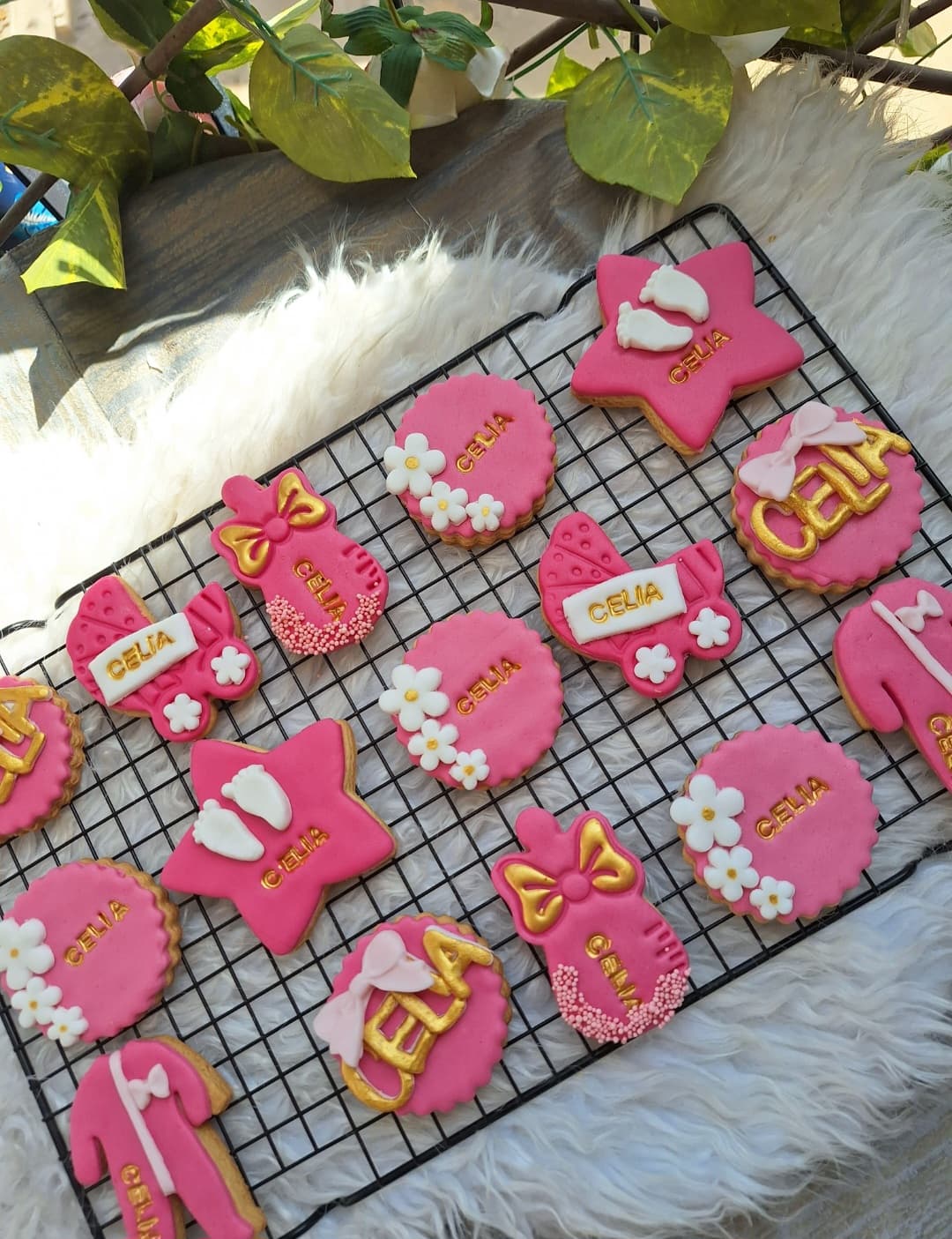 celia design 2 image 1